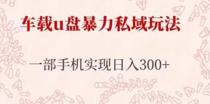 车载u盘暴力私域玩法,长期项目,仅需一部手机实现日入300+-阳知网创资源库