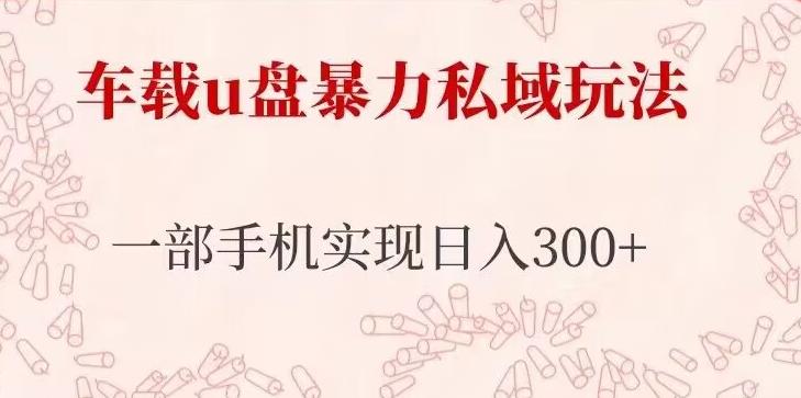 车载u盘暴力私域玩法,长期项目,仅需一部手机实现日入300+-阳知网创资源库