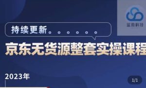 蓝七·2023京东店群整套实操视频教程,京东无货源整套操作流程大总结,减少信息差,有效做店发展-阳知网创资源库