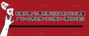 视频打赏/付费视频引流吸粉/定时弹窗广告+自带视频+支付接口+源码自适应-阳知网创资源库