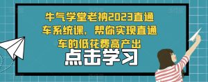 牛气学堂老衲2023直通车系统课,帮你实现直通车的低花费高产出-阳知网创资源库
