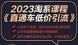 2023直通车低价引流玩法课程，小成本大流量，低价引流快速拉新收割，让你快速掌握直通车突破瓶颈-阳知网创资源库