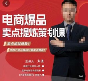 大圣·电商标品爆款卖点策划课，标品卖点成就爆款，可落地卖点提炼课-阳知网创资源库