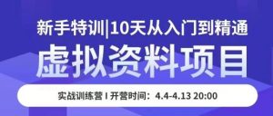 虚拟资料项目新手特训，10天从入门到精通，保姆级实操教学-阳知网创资源库