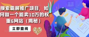 搜索霸屏推广项目，如何做一个能卖10万的权重6网站（揭秘）-阳知网创资源库