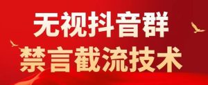 外面卖1500抖音粉丝群无视禁言截流技术，抖音黑科技，直接引流，0封号-阳知网创资源库