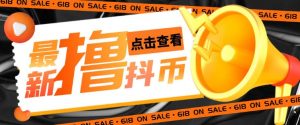 外面收费598的最新pdd无限白嫖抖币项目揭秘，简单暴利【仅揭秘】-阳知网创资源库
