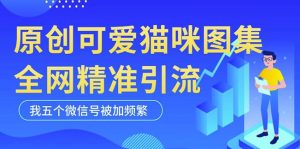 黑科技纯原创可爱猫咪图片,全网精准引流,实操5个VX号被加频繁-阳知网创资源库