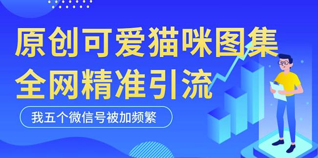 黑科技纯原创可爱猫咪图片，全网精准引流，实操5个VX号被加频繁-阳知网创资源库