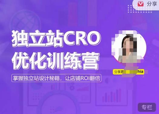 独立站CRO优化训练营,掌握独立站设计秘籍,打造高转化的独立站,让店铺ROI翻倍-阳知网创资源库
