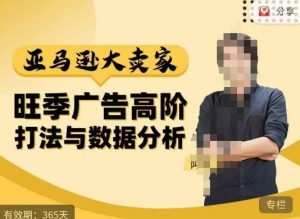 阿甘·亚马逊大卖家广告高阶打法与数据分析,走出传统广告误区;揭秘大卖惯用打法;数据驱动广告决策-阳知网创资源库