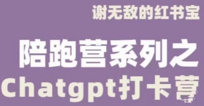谢无敌ChatGPT打卡营,教你更好地使用ChatGPT来提高工作效率-阳知网创资源库