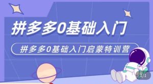 六一电商·拼多多运营0-1实操特训营，拼多多从基础到进阶的可实操玩法-阳知网创资源库
