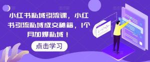 小红书私域引流课，小红书引流私域成交秘籍，1个月加爆私域！-阳知网创资源库