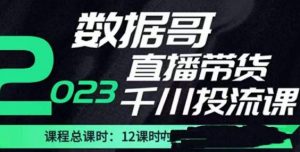 数据哥2023直播电商巨量千川付费投流实操课,快速掌握直播带货运营投放策略-阳知网创资源库