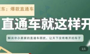 冠东·淘系直通车保姆级教程，全面讲解直通车就那么简单-阳知网创资源库
