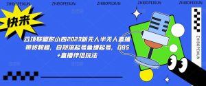 云顶联盟彭小四2023新无人半无人直播带货教程，自然流起号鱼塘起号，OBS+直播伴侣玩法-阳知网创资源库
