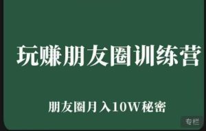 玩赚朋友圈系统课，朋友圈月入10W的秘密，​7天系统图文课程-阳知网创资源库