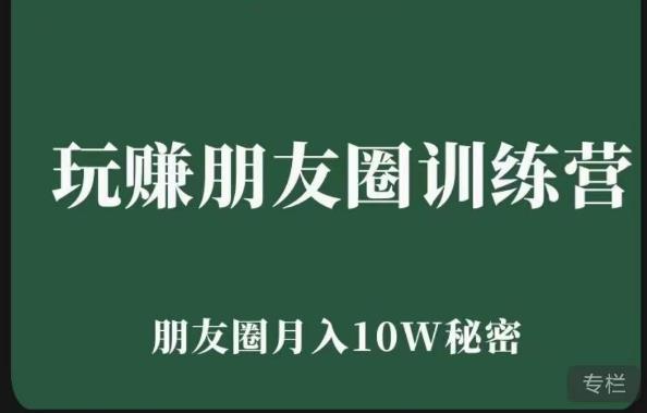 玩赚朋友圈系统课,朋友圈月入10W的秘密,7天系统图文课程-阳知网创资源库