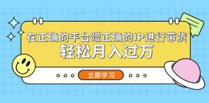 在正确的平台蹭正确的IP进行带货,轻松月入过万-阳知网创资源库