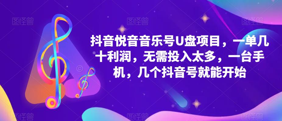 抖音音乐号U盘项目，一单几十利润，无需投入太多，一台手机，几个抖音号就能开始-阳知网创资源库