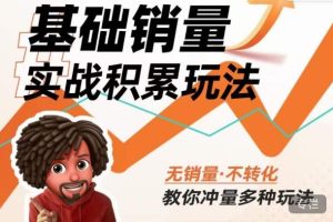 内功丨淘系基础销量实战积累玩法,无销量·不转化,教你冲量多种玩法-阳知网创资源库