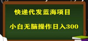 2023最新蓝海快递代发项目，小白零成本照抄也能日入300+-阳知网创资源库