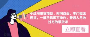 小红书带货项目,时间自由、零门槛无压货,一部手机即可操作,普通人月收过万的带货课-阳知网创资源库