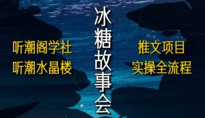 听潮阁学社听潮水晶楼抖音冰糖故事会项目实操,小说推文项目实操全流程,简单粗暴!-阳知网创资源库