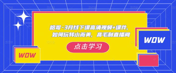 哈哥·3月线下实操课高清视频+课件,如何玩转小而美,高毛利直播间-阳知网创资源库
