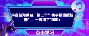 抖音蓝海项目，第二个“快手极速版拉新”，一周搞了7000+【揭秘】-阳知网创资源库