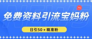 免费资料引流宝妈粉,日引50+精准粉【揭秘】-阳知网创资源库