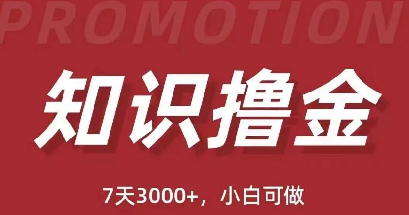 抖音知识撸金项目：简单粗暴日入1000+执行力强当天见收益(教程+资料)-阳知网创资源库