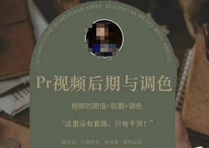 Pr视频后期与调色,视频颜值=后期+调色,这里没有套路,只有干货!-阳知网创资源库