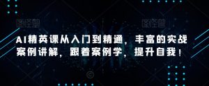 AI精英课从入门到精通,丰富的实战案例讲解,跟着案例学,提升自我!-阳知网创资源库