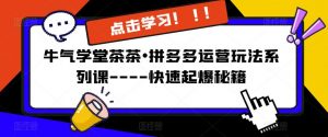 牛气学堂茶茶•拼多多运营玩法系列课—-快速起爆秘籍【更新】-阳知网创资源库