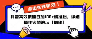 抖音高效截流日加100+精准粉，详细操作实战演示【揭秘】-阳知网创资源库
