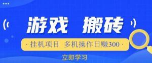 游戏挂机挂机项目，多机操作，日赚300【揭秘】-阳知网创资源库