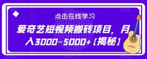 爱奇艺短视频搬砖项目,月入3000-5000+【揭秘】-阳知网创资源库