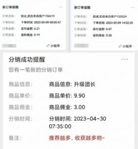 快递代发CPS，月入万元，不起眼却很赚钱的信息差项目【揭秘】-阳知网创资源库