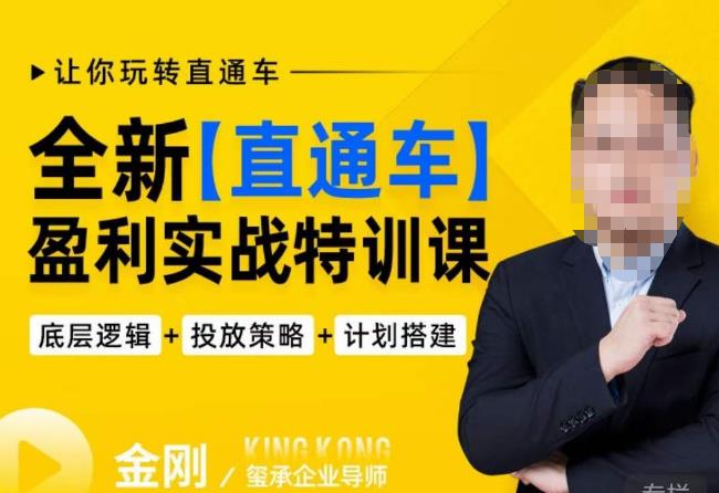 玺承·全新直通车盈利实战特训课,从底层逻辑详细拆解,从底层,策略到搭建,让你玩转直通车-阳知网创资源库