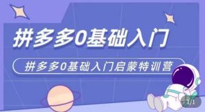 拼多多运营0-1实操特训营,拼多多0基础入门,从基础到进阶的可实操玩法-阳知网创资源库