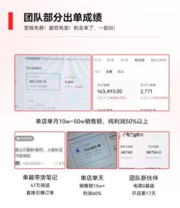 2023小红书电商火爆全网,新晋红利,风口项目,单店收益在3000-30000!-阳知网创资源库