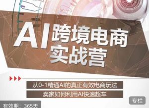白龙老师·AI跨境电商实战营:从0-1精通Al的真正有效电商玩法,卖家如何利用Al快速超车-阳知网创资源库
