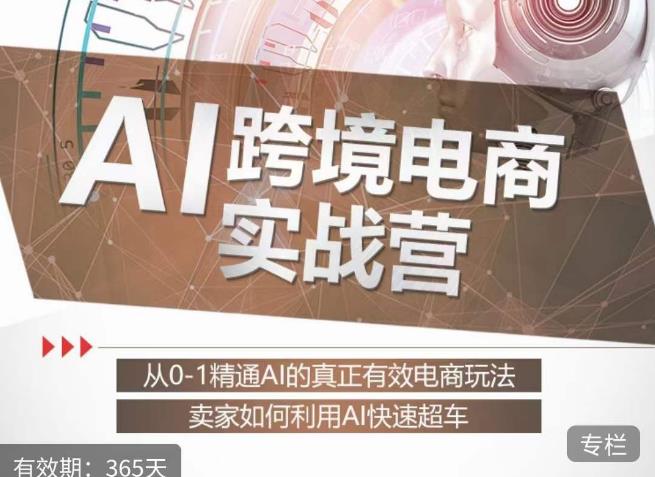 白龙老师·AI跨境电商实战营:从0-1精通Al的真正有效电商玩法,卖家如何利用Al快速超车-阳知网创资源库