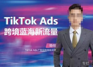 稳哥·如何投出高ROI的TikTok广告，开拓独立站卖家流量新蓝海-阳知网创资源库