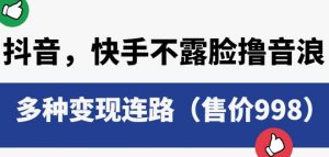 抖音快手不露脸撸音浪项目,多种变现连路(售价998)-阳知网创资源库