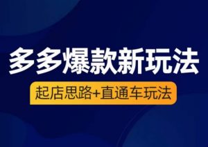 海神·多多爆款新玩法,起店思路+直通车玩法(3节精华课)-阳知网创资源库