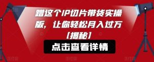 蹭这个IP切片带货实操版,让你轻松月入过万【揭秘】-阳知网创资源库
