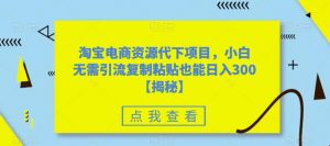 淘宝电商资源代下项目,小白无需引流复制粘贴也能日入300+【揭秘】-阳知网创资源库